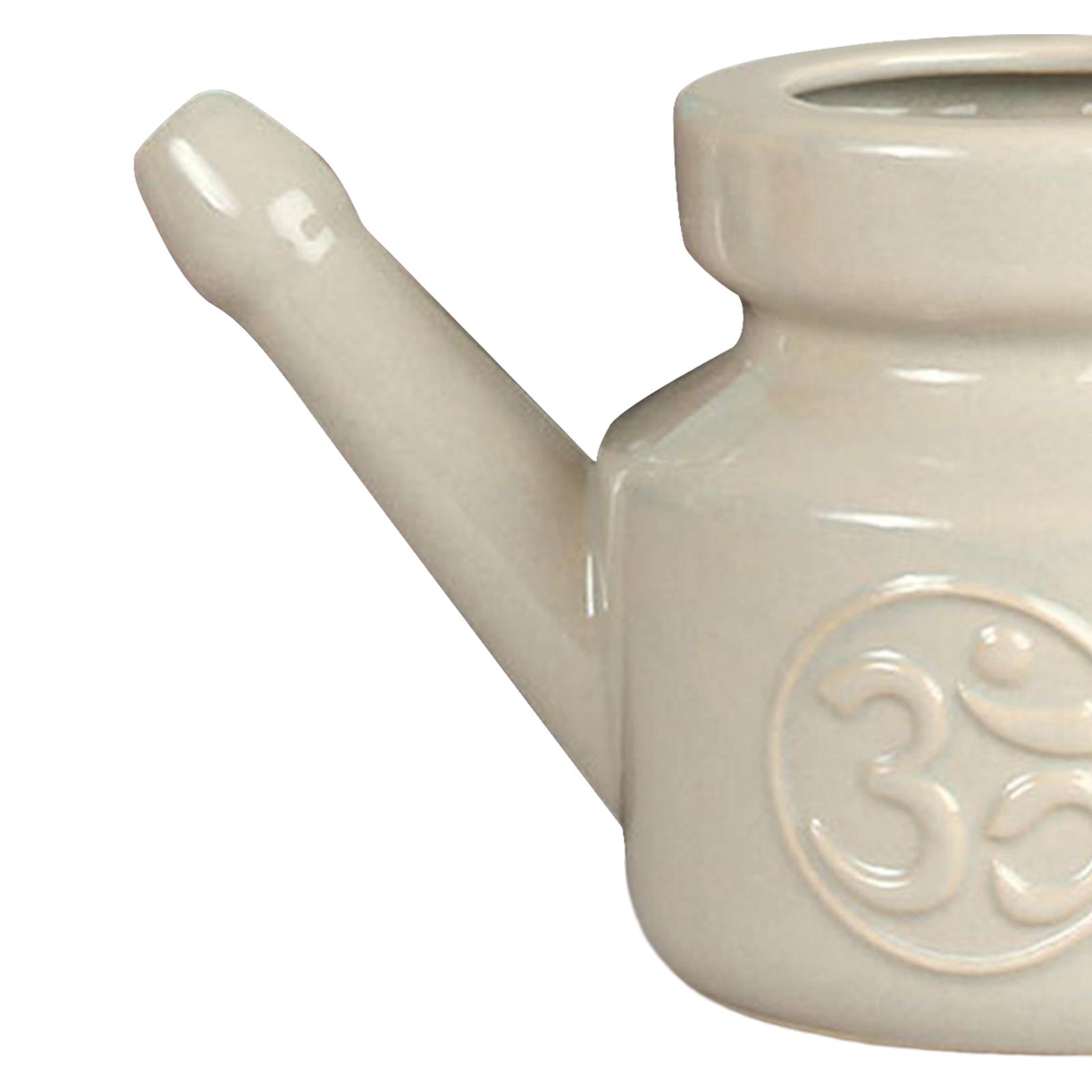350ml Spout Pot Nasal Cleansin - огляд і ціна Neti Pot Nasal Rinse