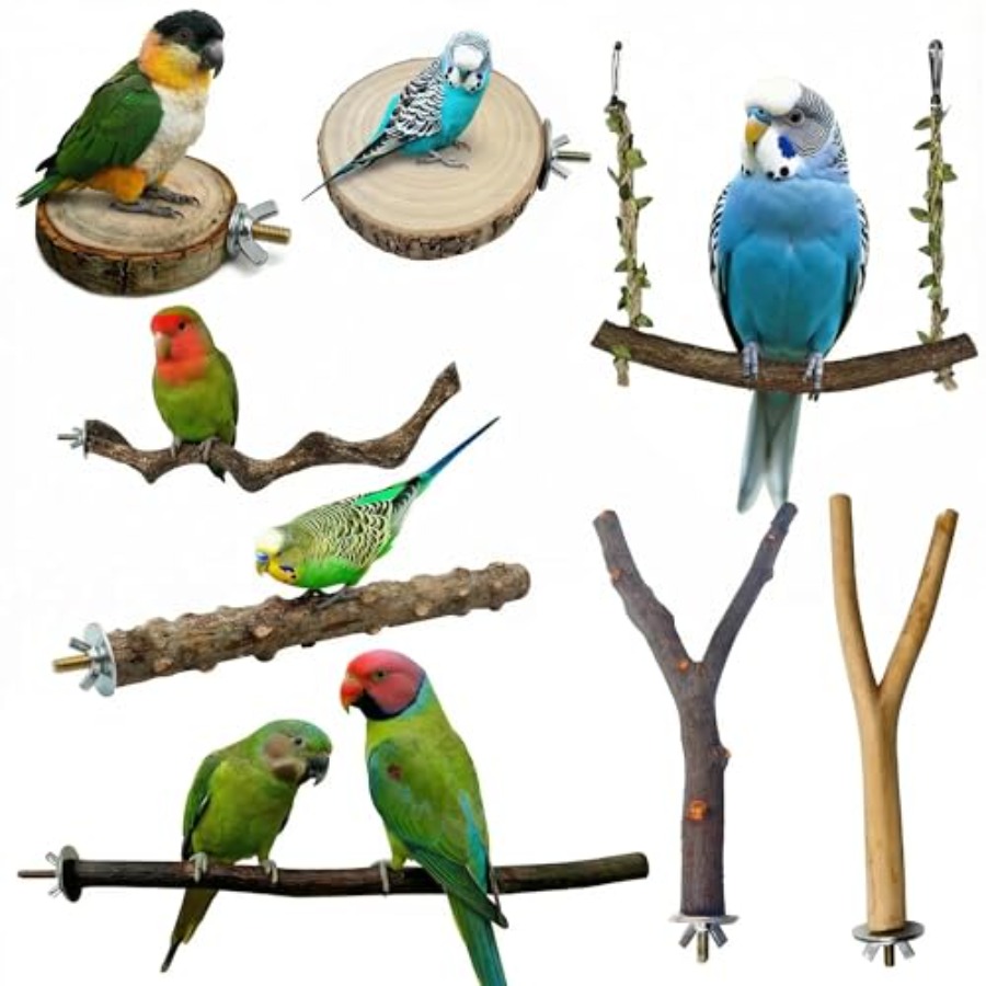 8PCS natural wood bird perches - огляд і ціна Health & Wellness Kuala Lumpur